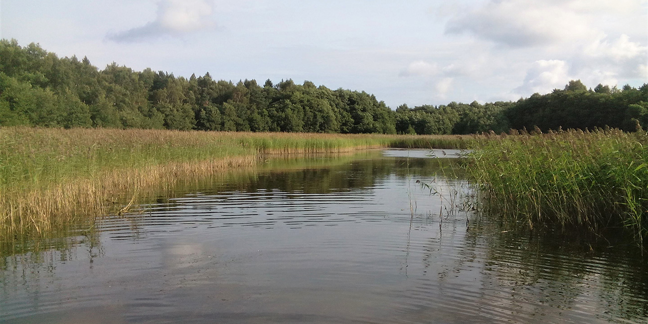 img-vass-och-vatten-2