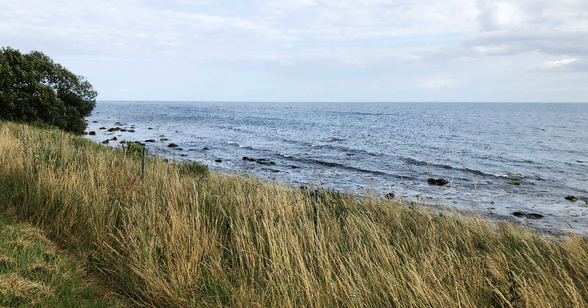 Strandkant i Ystad.
