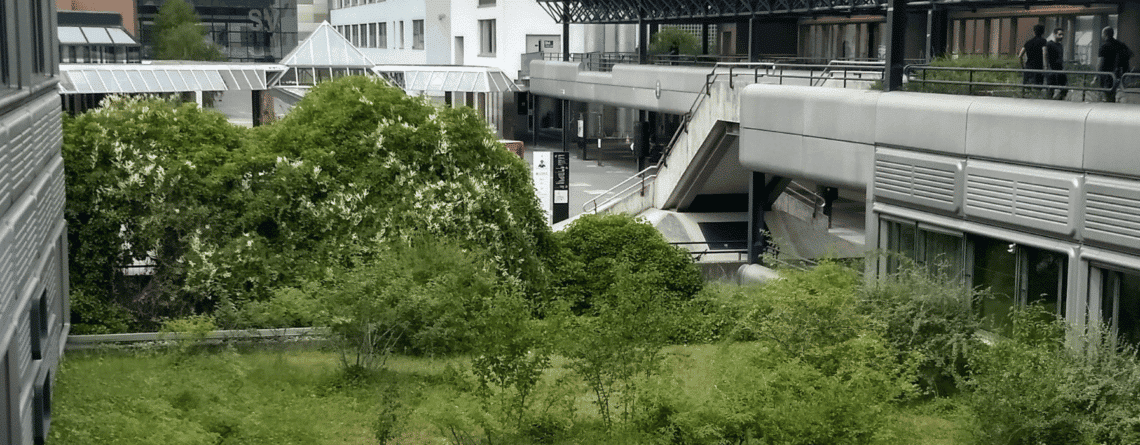 Sabine-Chamoun-Terrasses-vegetalisees-EPFL-1140x445