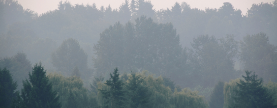 thumbnail-air-quality-project