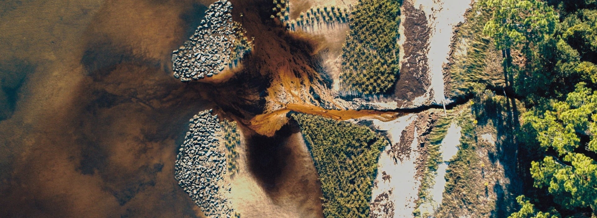 banner image updated