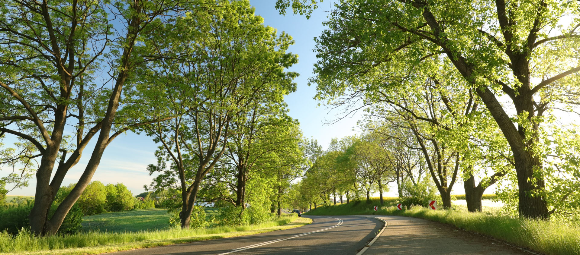 full-width-banner-ash-diebeck-road-gis