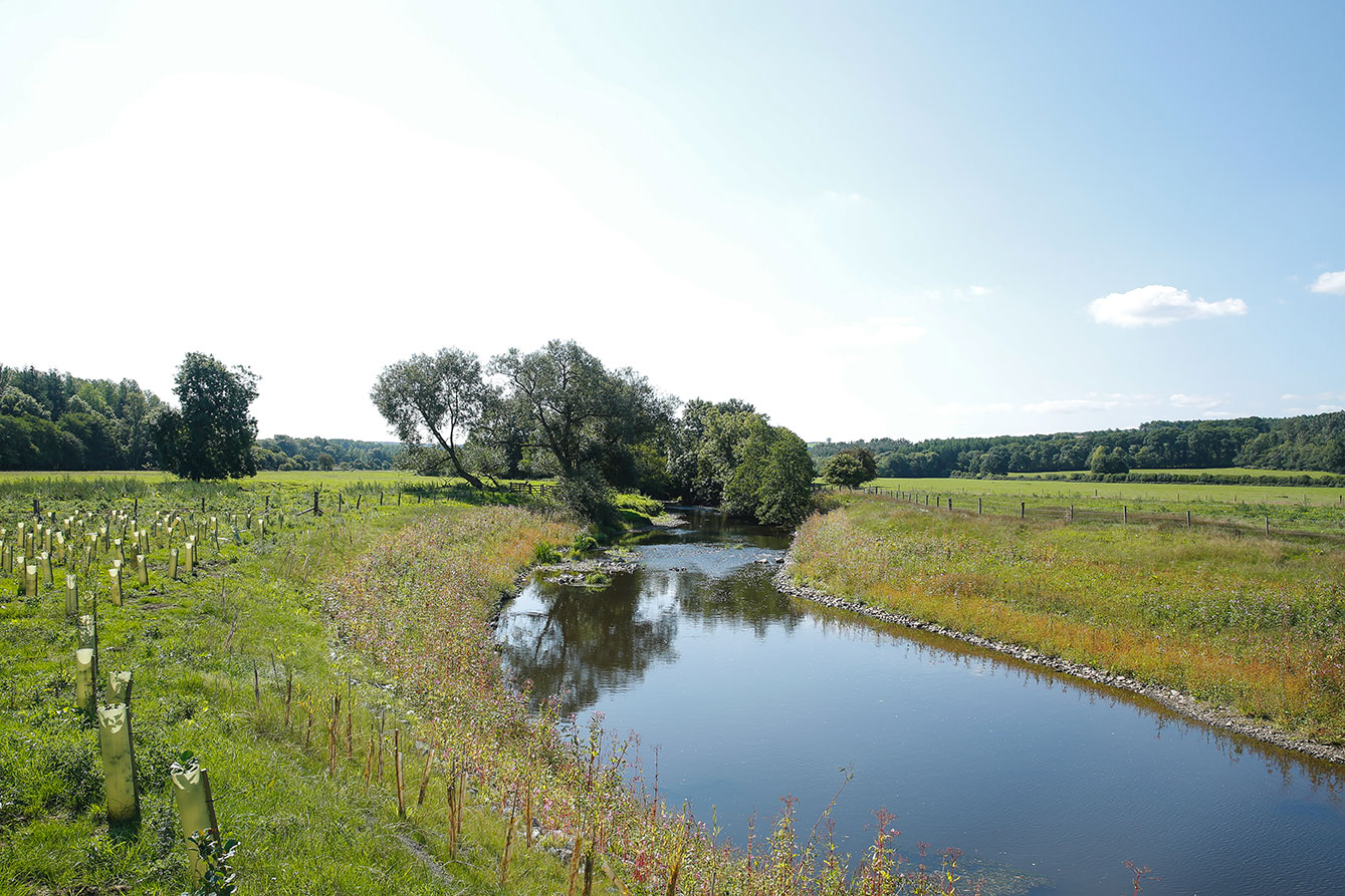 img-river-taw