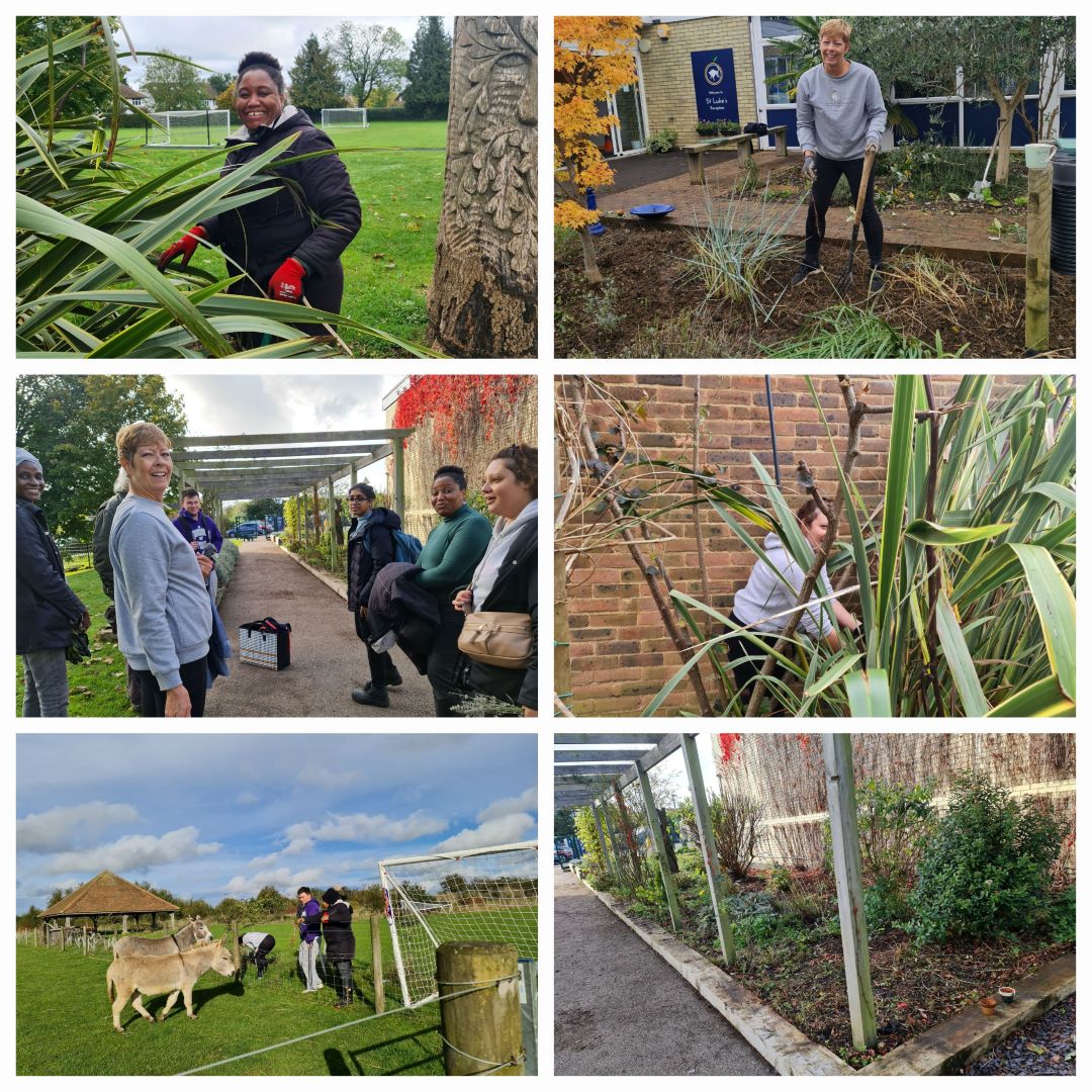 Herts volunteering photo