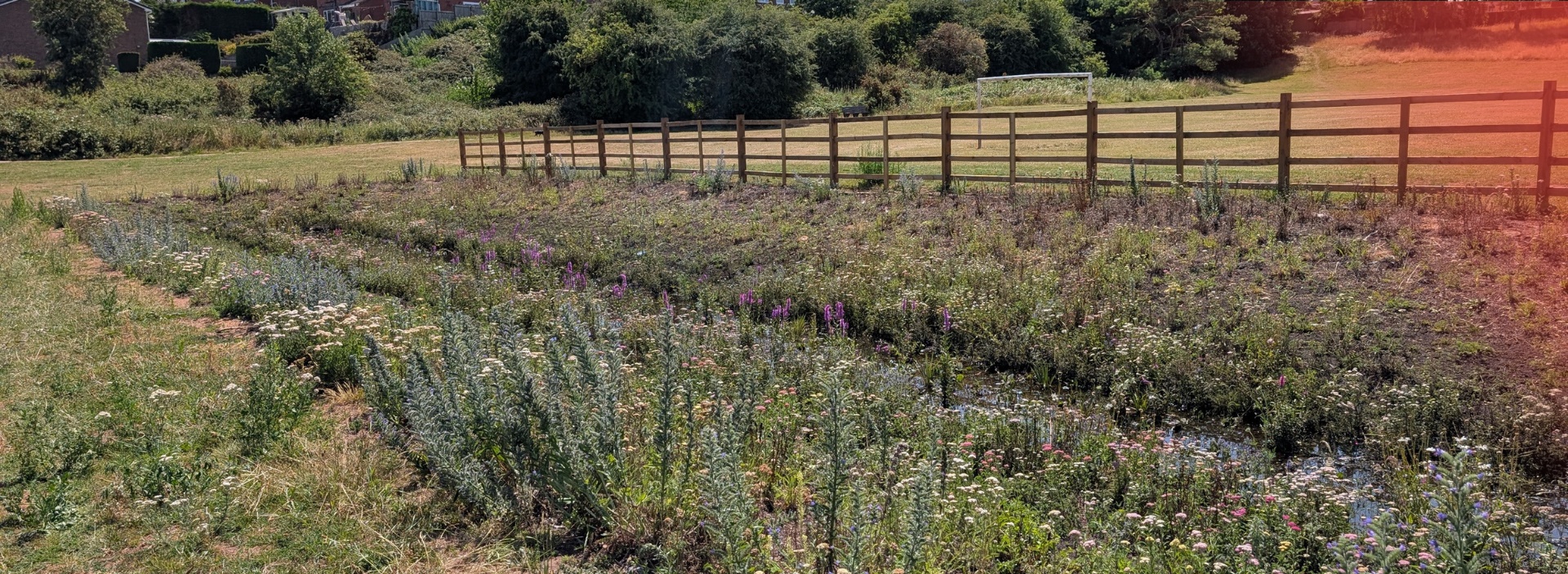 hero-mansfield-suds-project updated