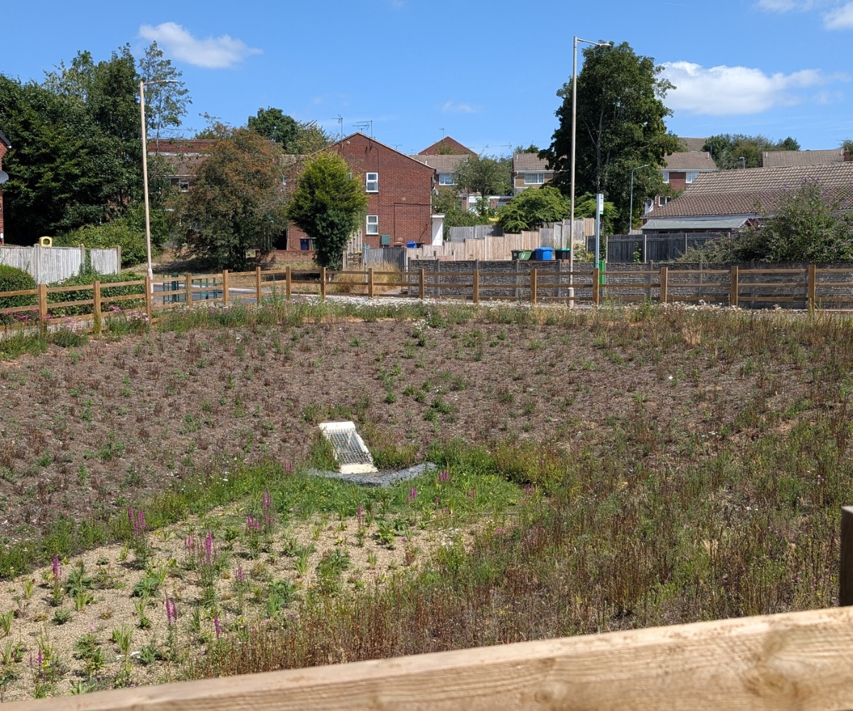 in-page-1200x1000-mansfield-suds updated