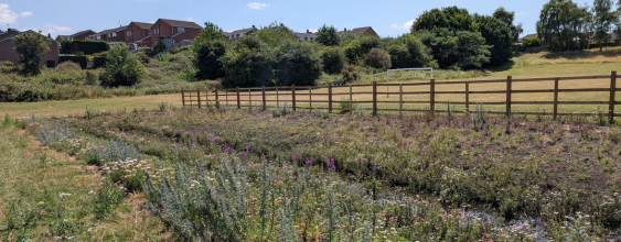 thumbnail-mansfield-suds