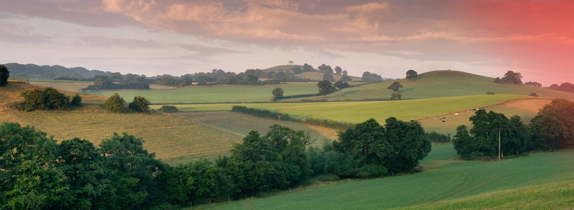 hero-banner-resilient-somerset updated