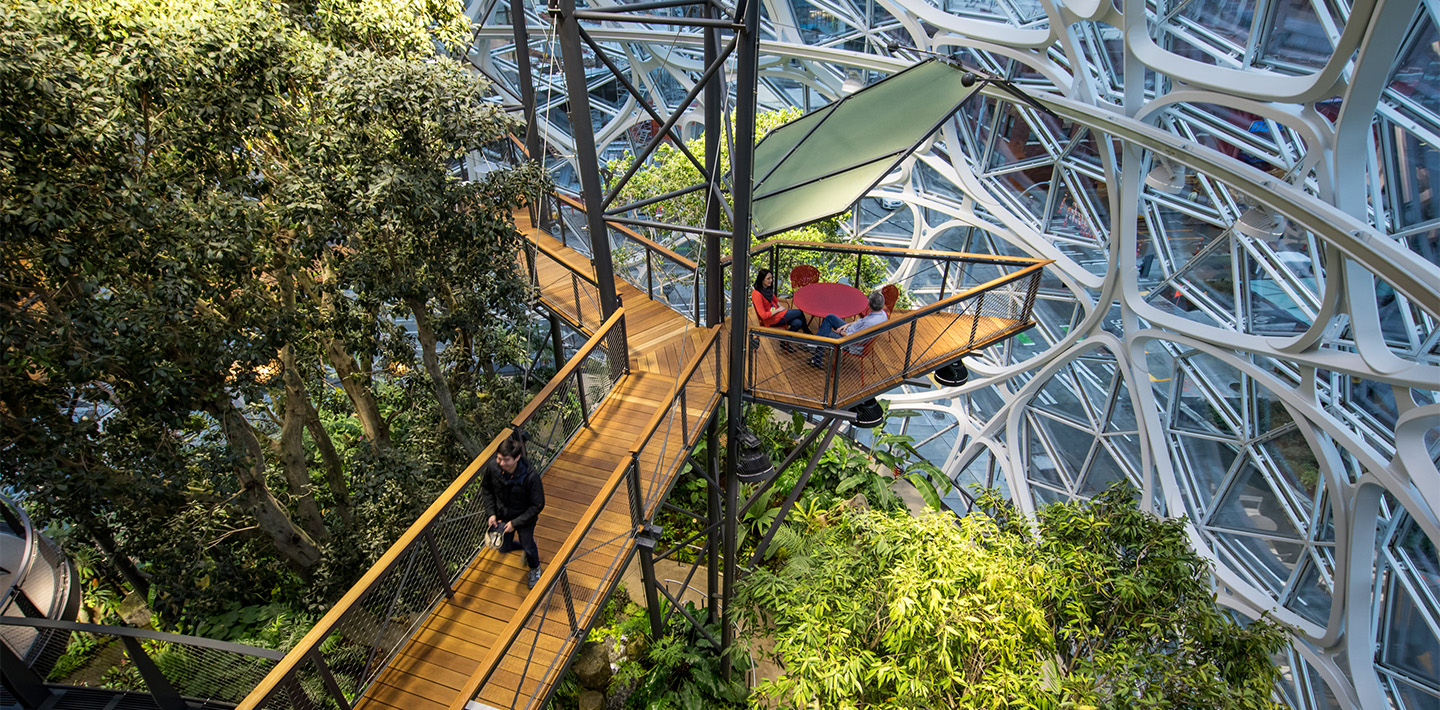 img-amazon-nbbj-3