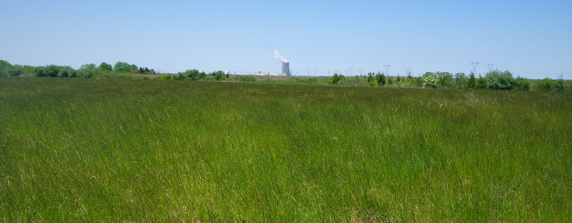 bnr-mad-horse-creek-wetland