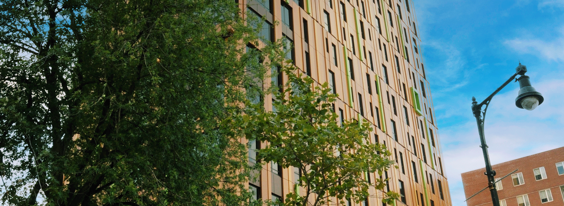 bnr-massart-tree-house