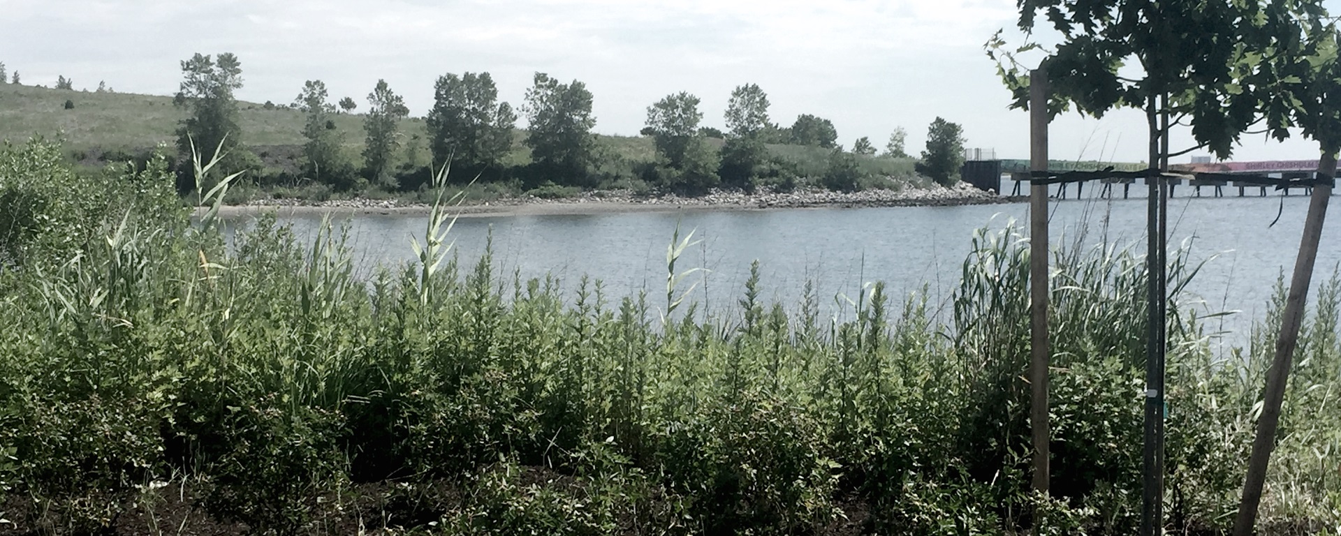 bnr-shirley-chisholm-park-hendricks-toward-fountain