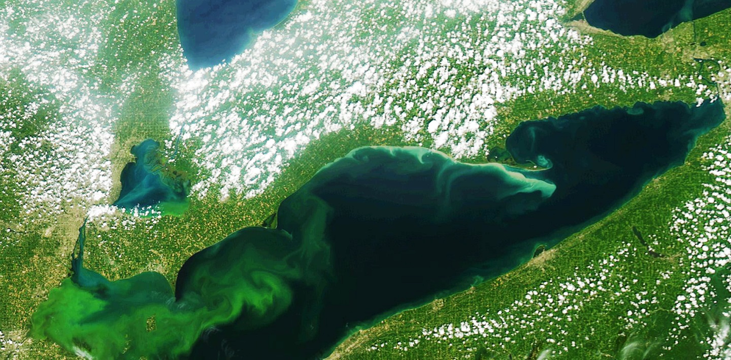 img-Algal-blooms2