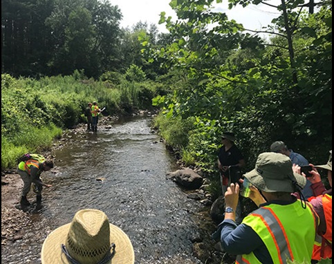 img-Watergate-Wetlands-Restoration1