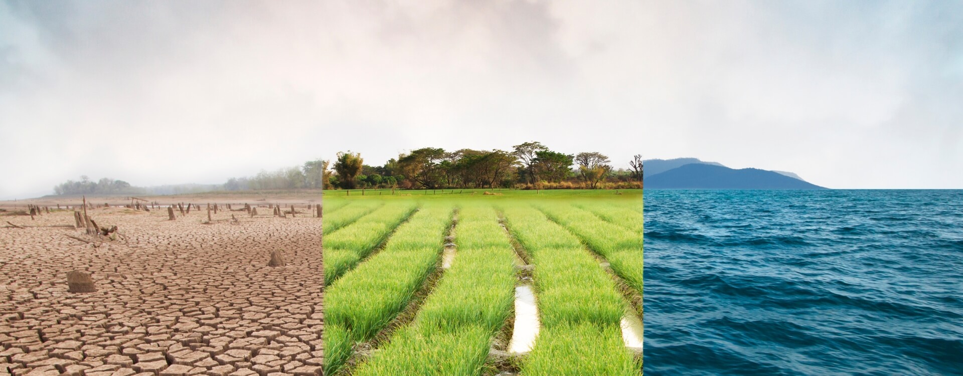 eau; environnement