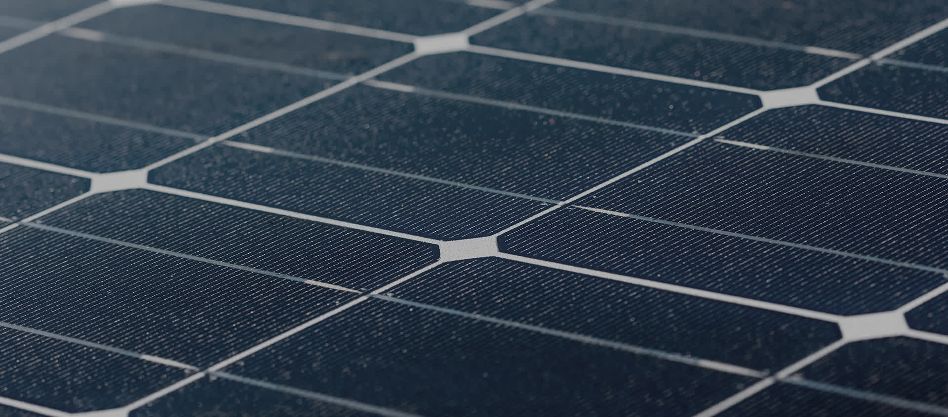 Solar panels in solar farm