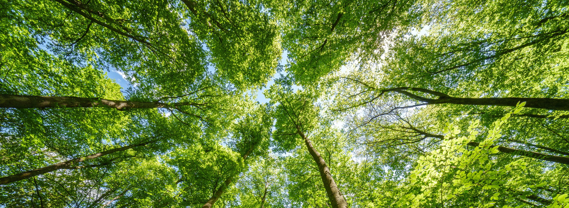 bnr-environmental-social-impact-2026