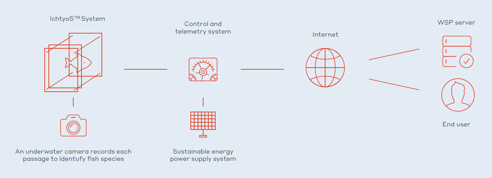 Automated Counter for Fish Populations Monitoring | WSP