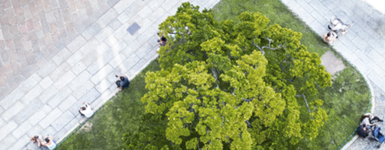 img-net-zero-emissions-pathways-2