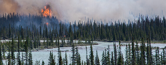 thn-Climate change modelling and projections