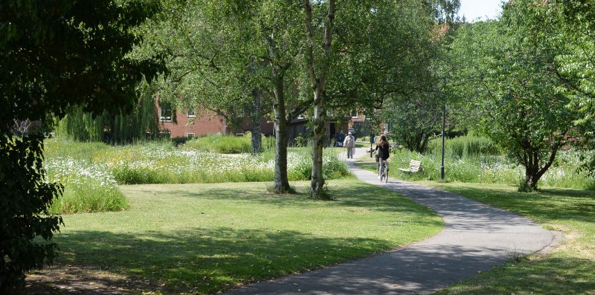 BiodiversitetdriftHusumvaengejpg