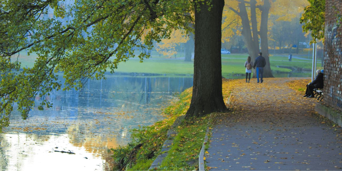 img-Climate-Change-Adaptation-Planning-body