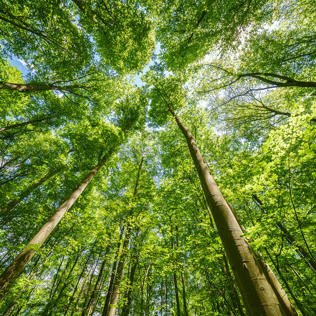 img-ecology-hww-1-v3