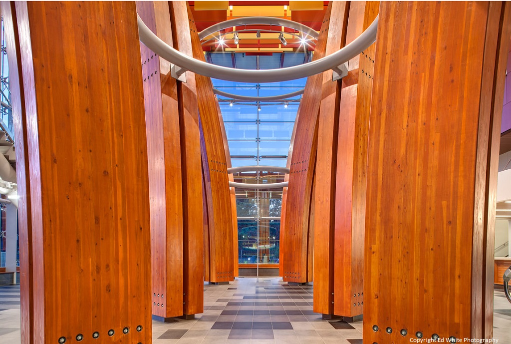 surrey_memorial_acute