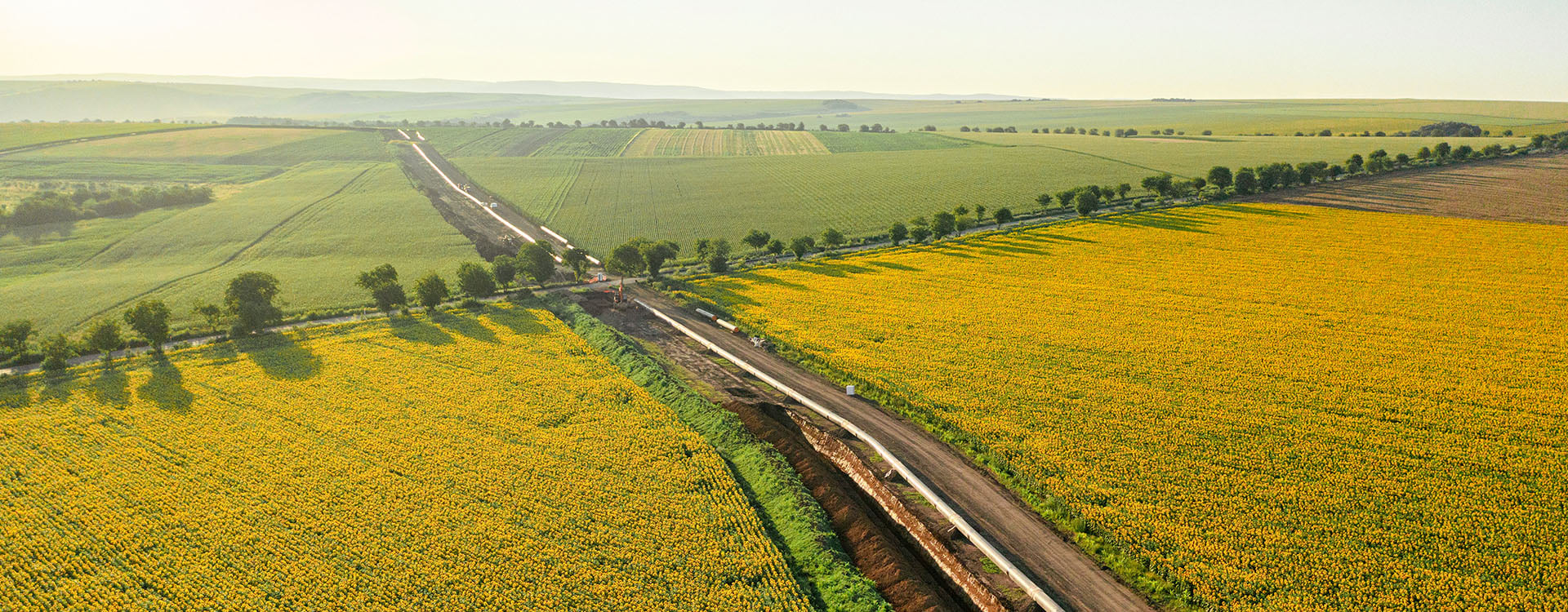 bnr-licensing and permitting