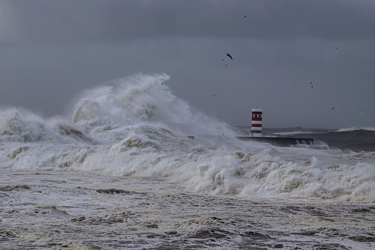 img-3-maritime-environmental
