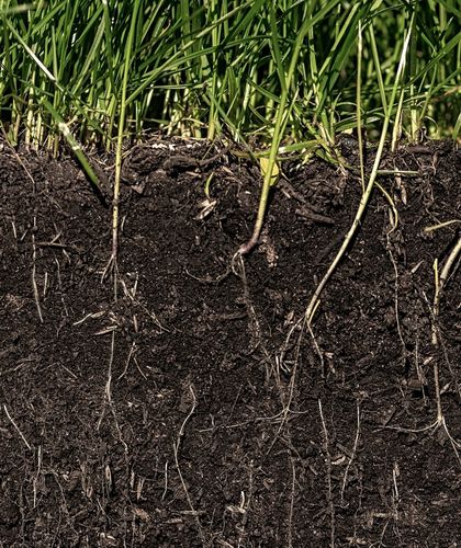 Remediation and Treatment