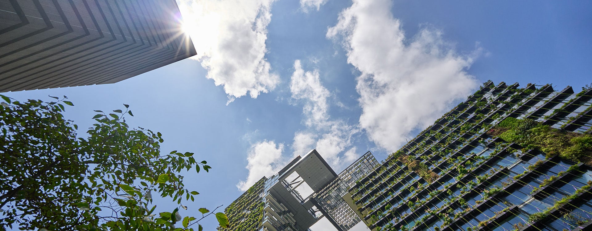 bnr-sustainability-energy-climate-change