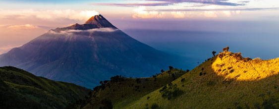 thn-environment-indonesia-2024