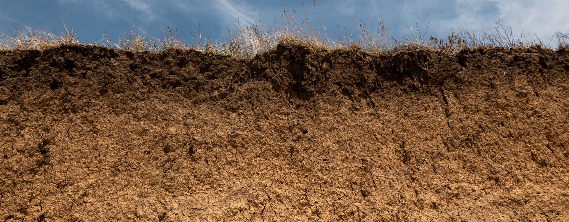 bnr_ soils