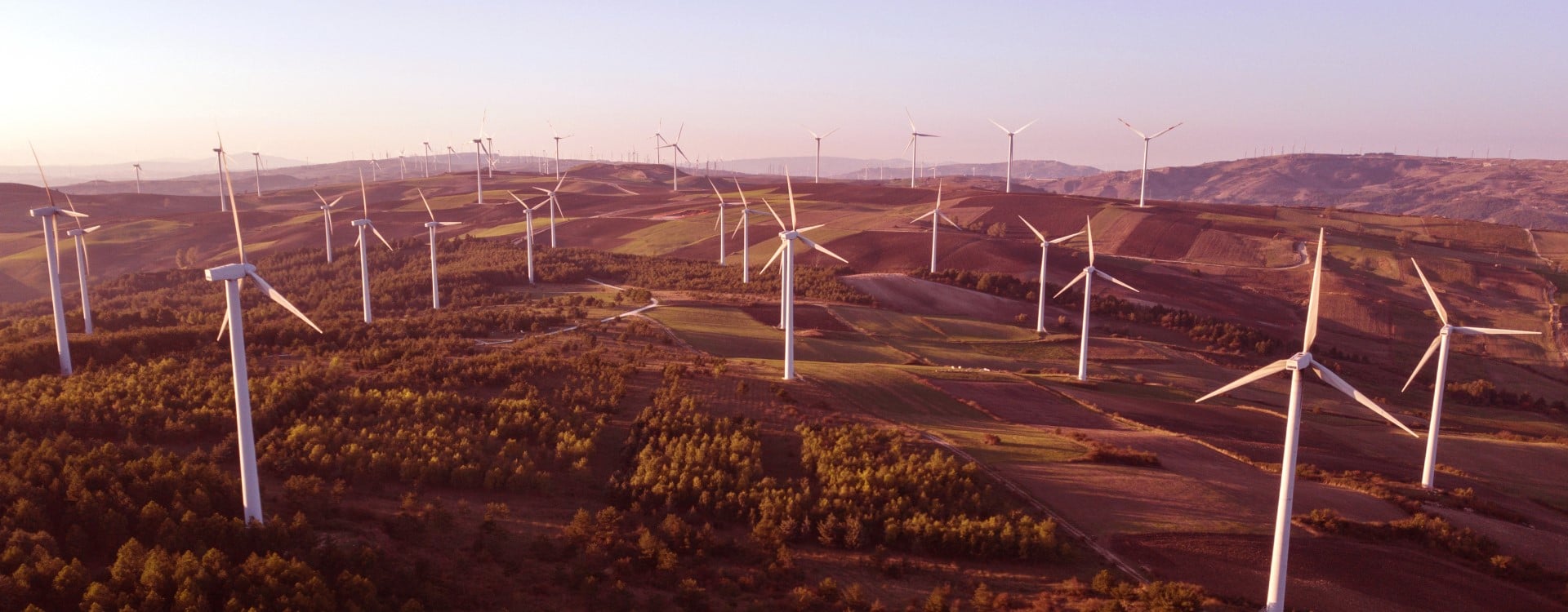 bnr_advisory-energy-wind-farm