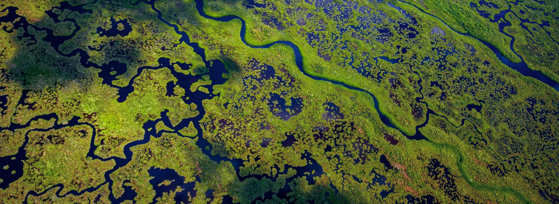 bnr_climate and adaptation wetland aerial