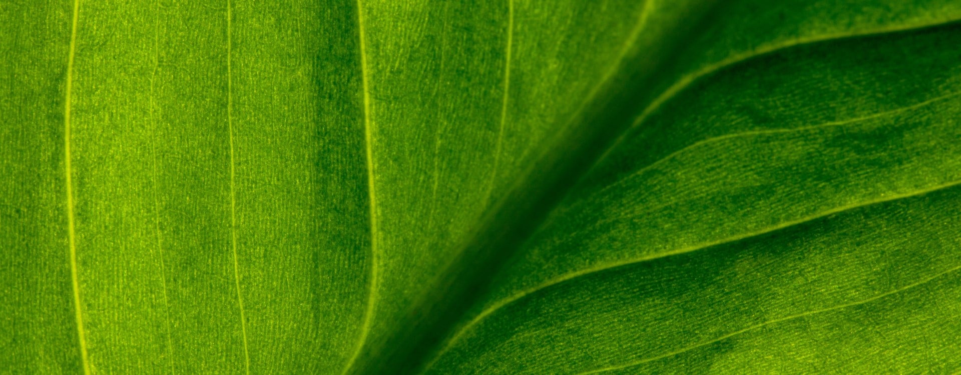 bnr_mitigating environmental effects