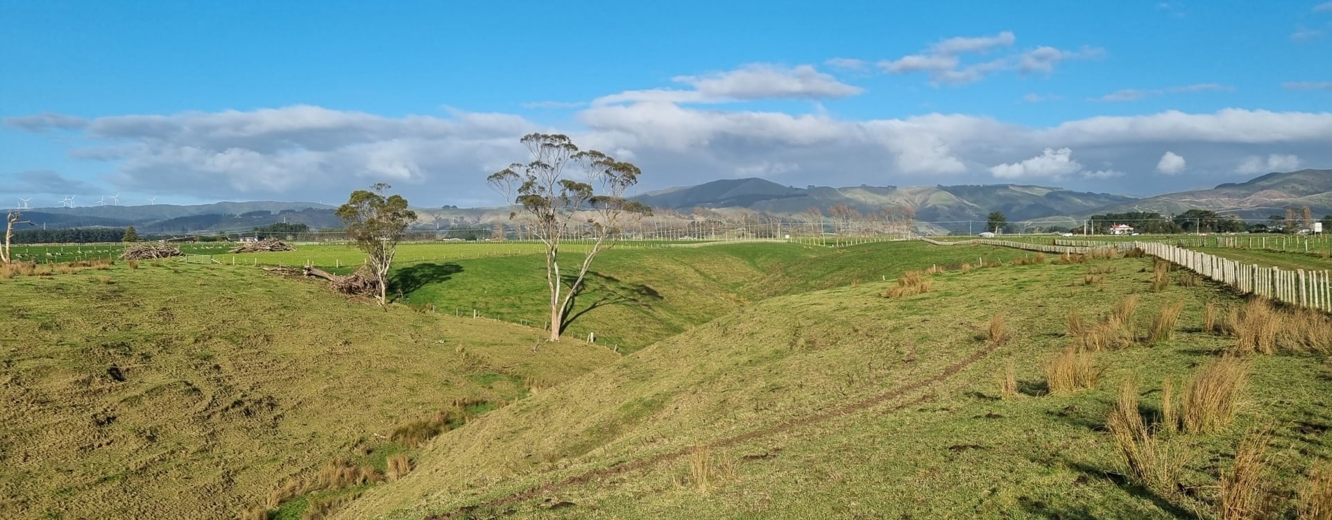 bnr_sustainable land