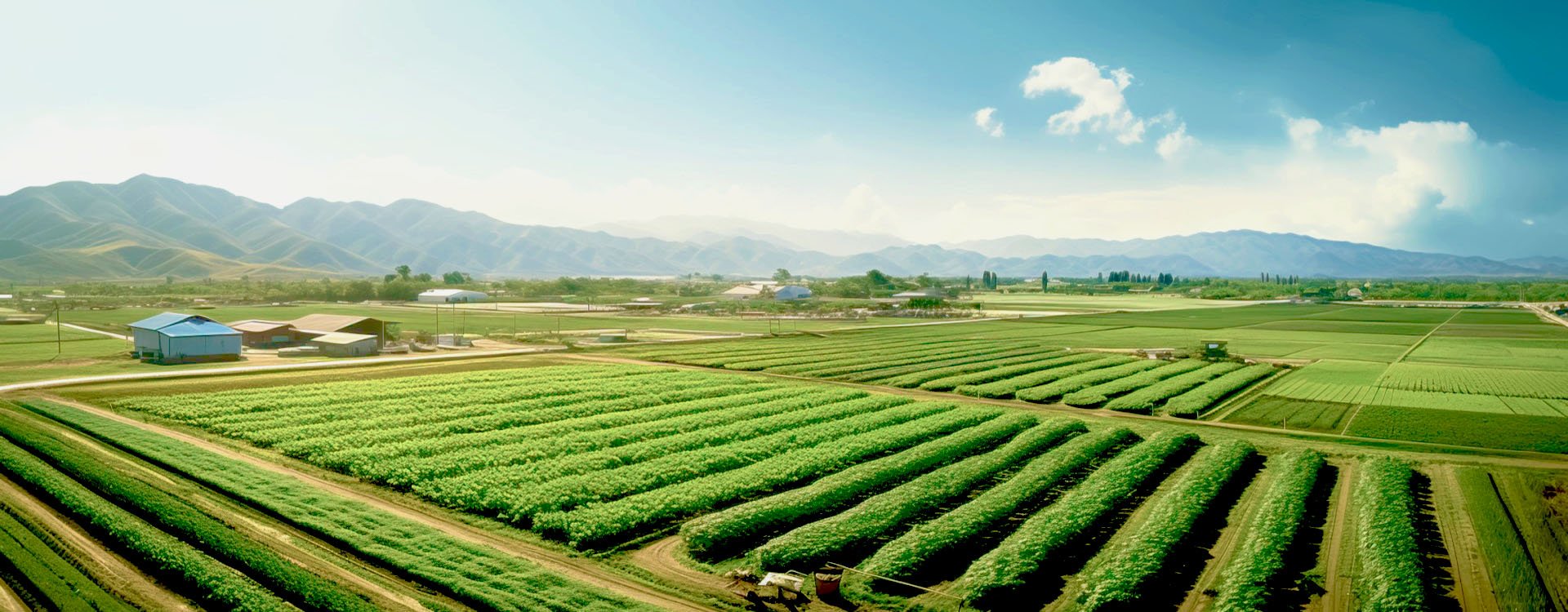 bnr_sustainable_land_Primary