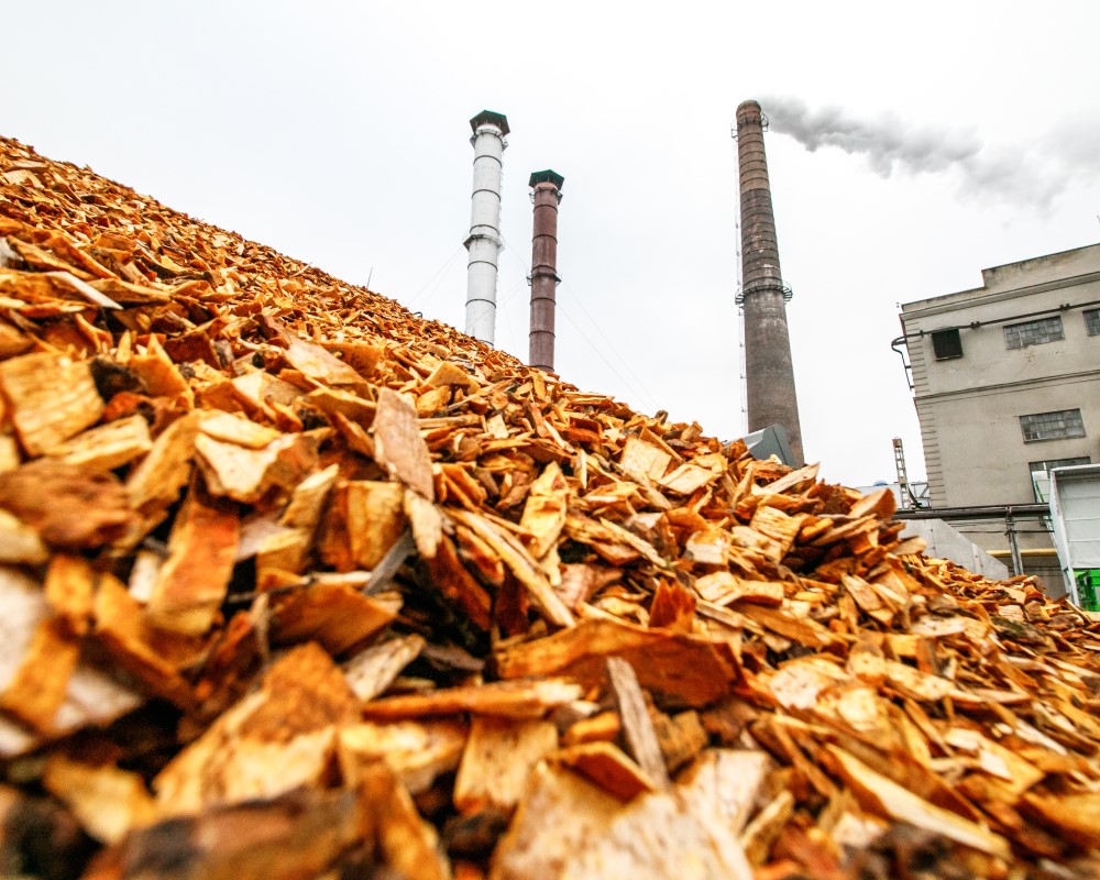 img_biomass