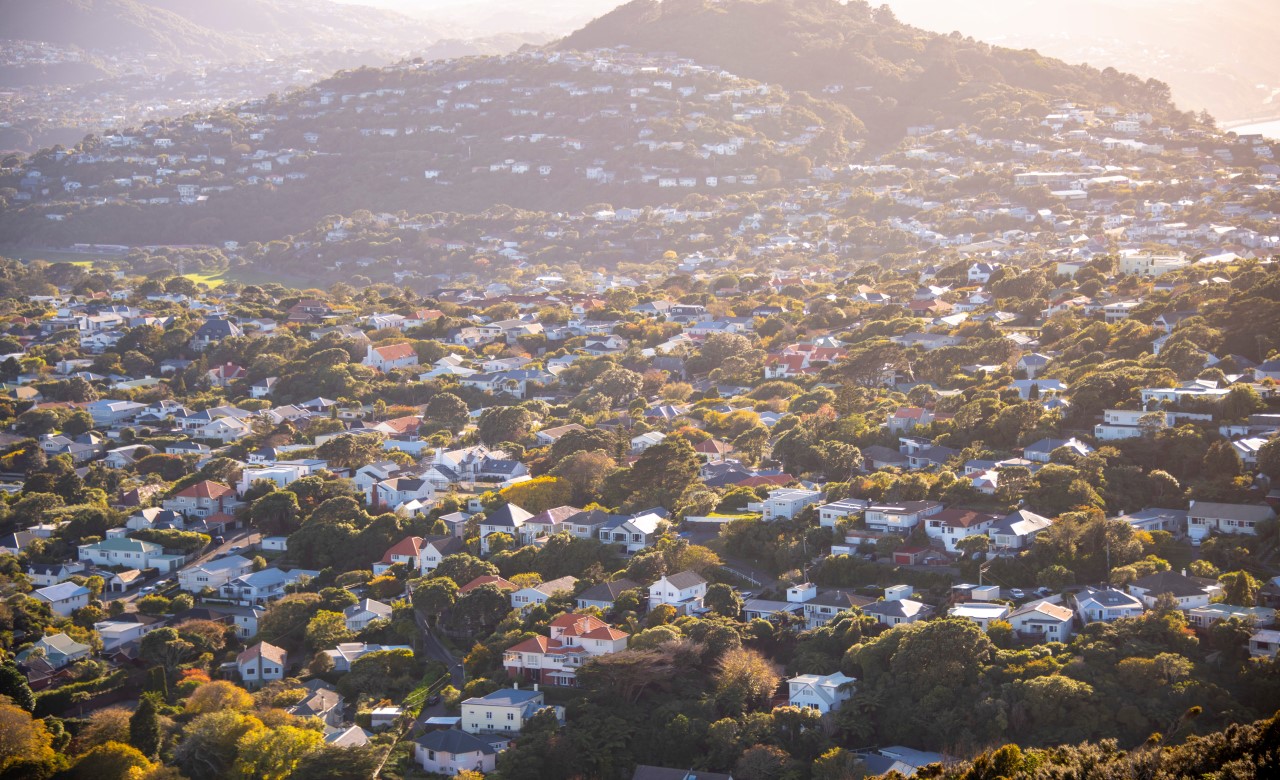 homes and community housing programme