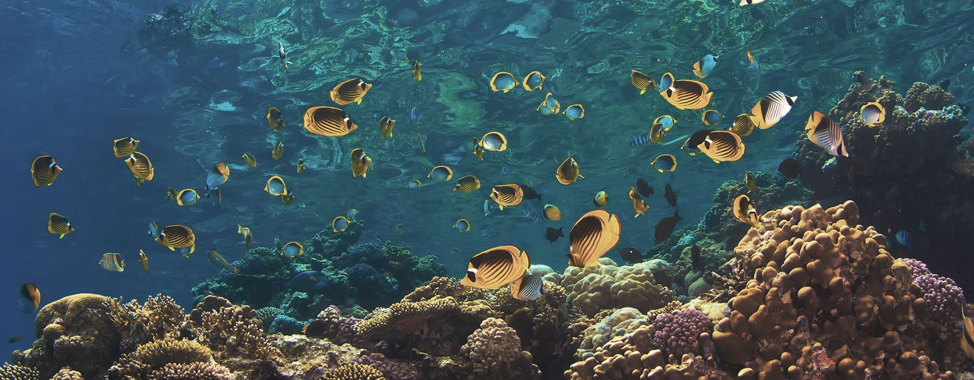 Maritime Environmental