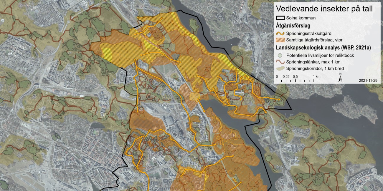 GIS karta som visar vedlevande insekter på tall