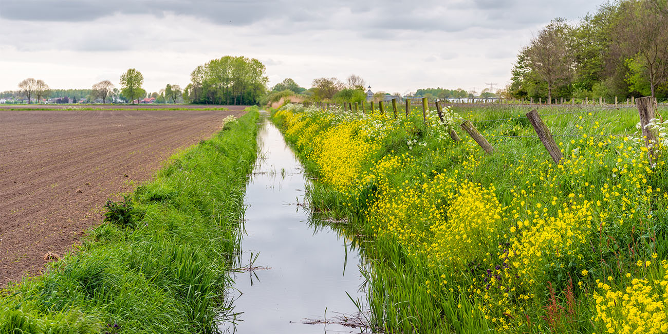 img-vatten-dike-landsbygd-AdobeStock_149285175