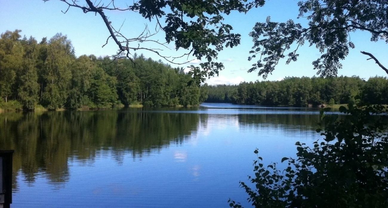 Vy över vattendrag omringad av skog.