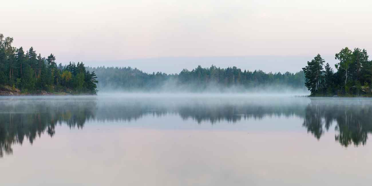Sjö. dimma, träd.