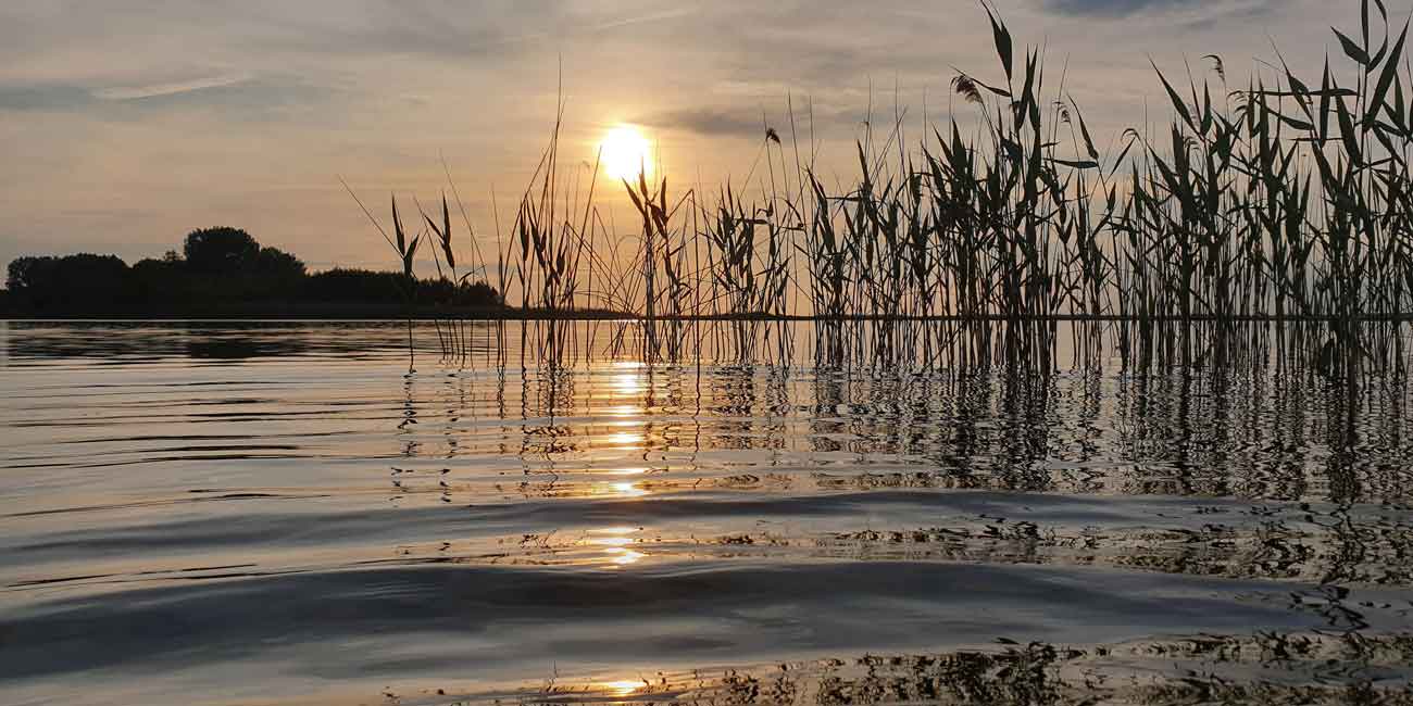Vatten, vass och solndegång.