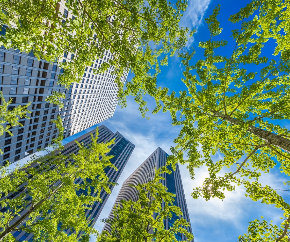 in-page-1200x1000-Arboriculture updated