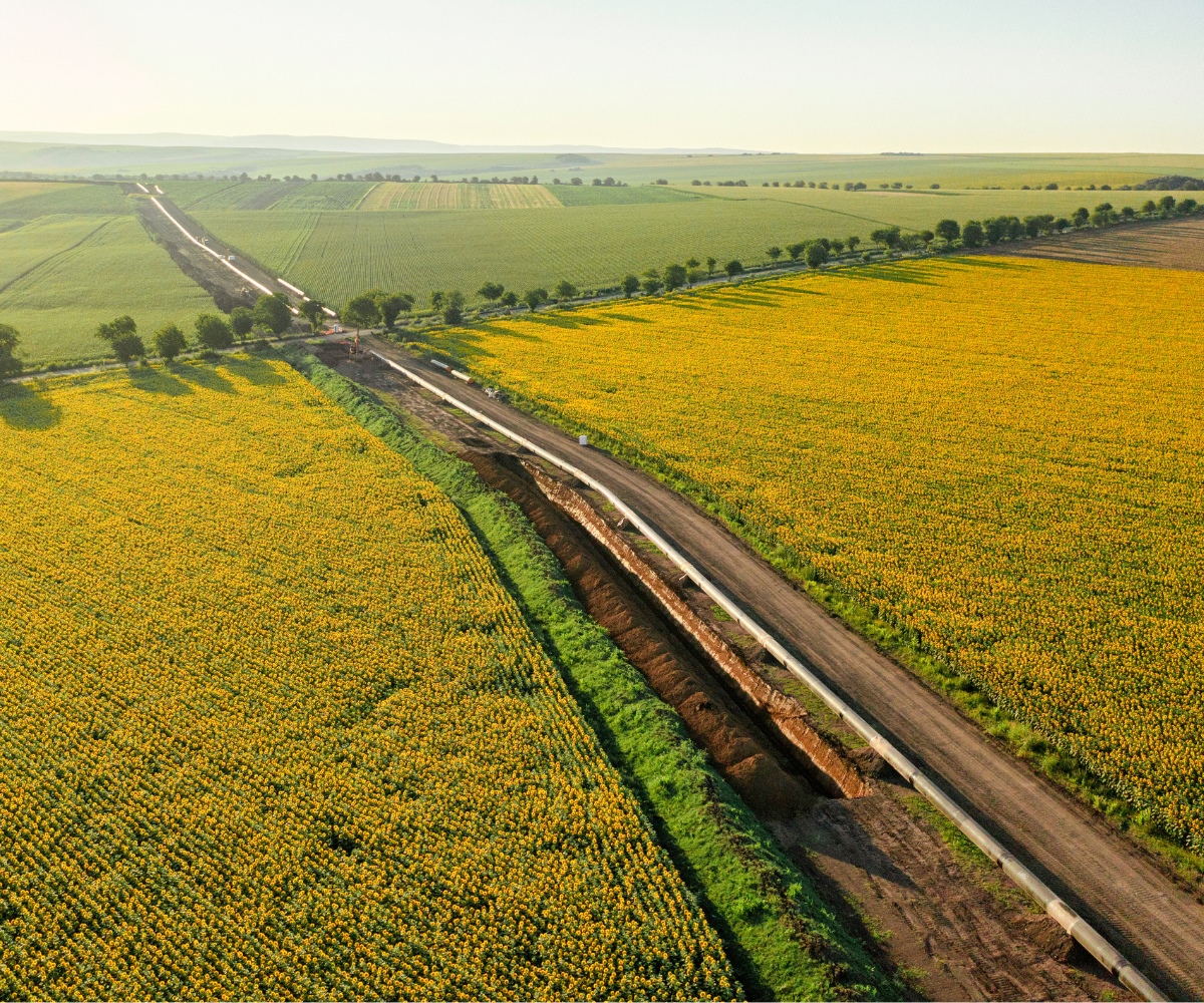 policy-advisory-soils updated