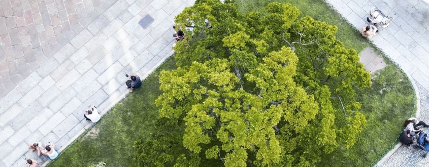Urban_Planning_and_Design_Thumbnail_563__220_px